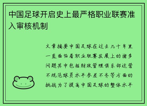 中国足球开启史上最严格职业联赛准入审核机制